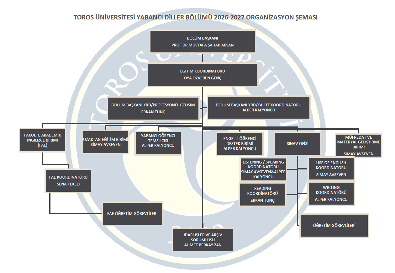 Organizasyon Şeması